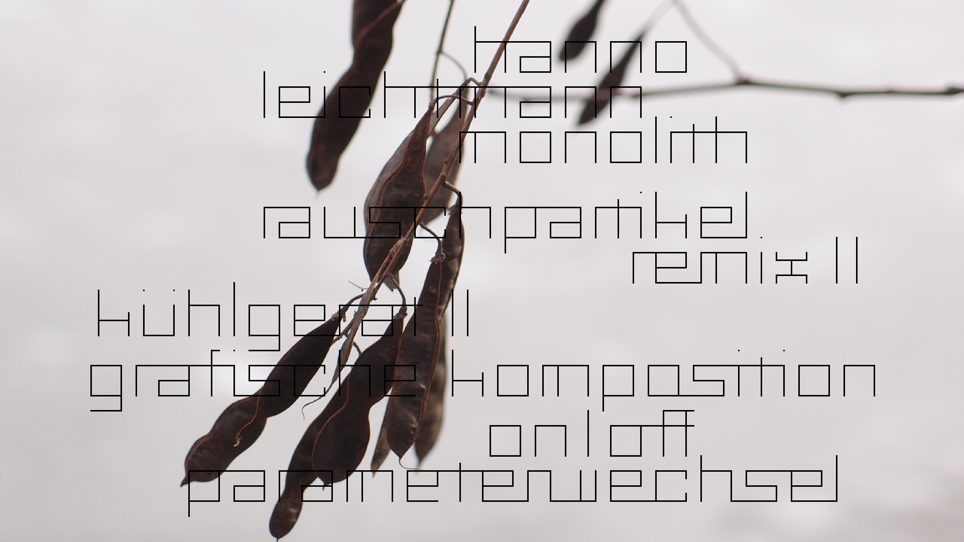 2021-03-10 Hanno Leichtmann - 1996 Monolith (rauschpartikel Remix 1 - 3)